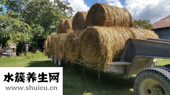 拉拉褲小怎么剪