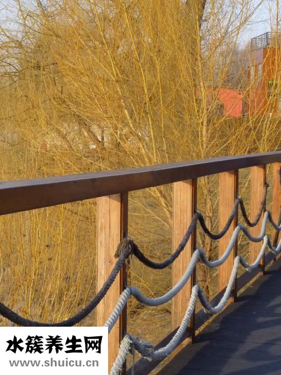 皮草圍脖怎么做