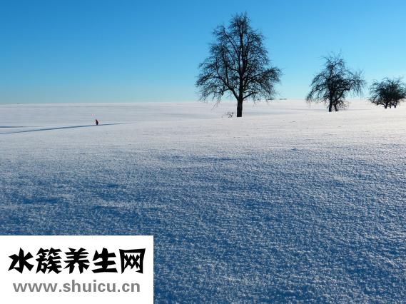 怎么做油餅又軟又香