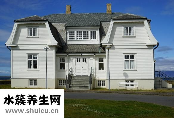 家具樹(shù)怎么種植