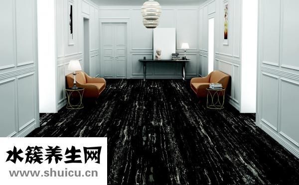 家具樹(shù)怎么種植