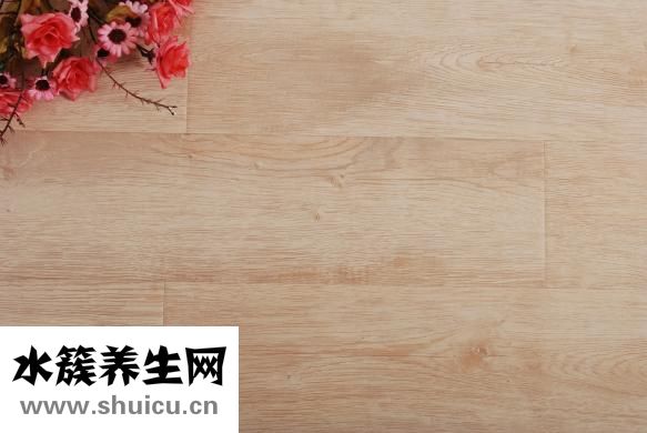 家具樹(shù)怎么種植