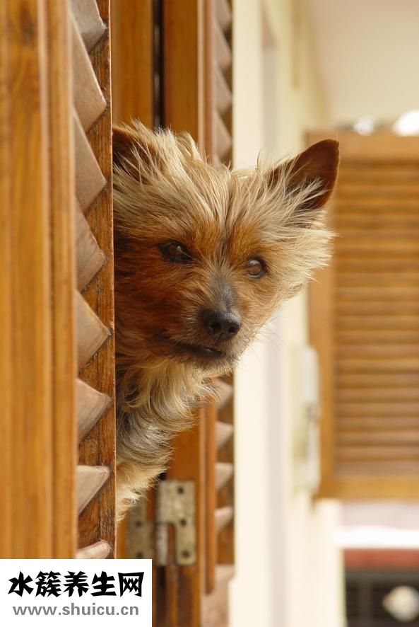 點到誰就是誰怎么說