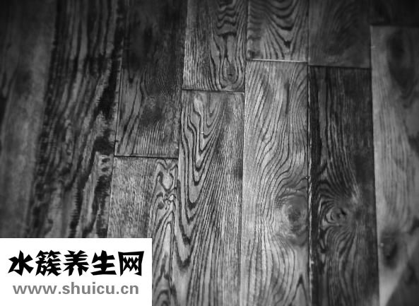 家具樹(shù)怎么種植