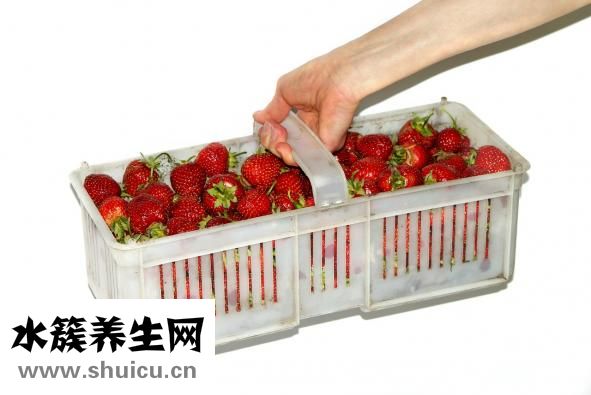 芒是怎么來(lái)的