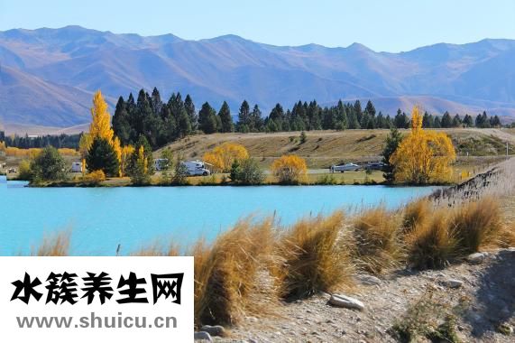 紫癜病怎么治療