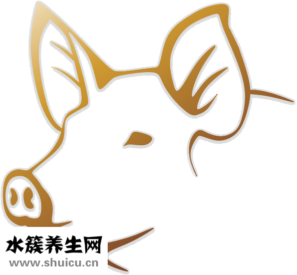 蘿卜豬肉餡怎么調