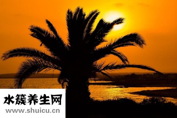 缺鈣怎么補鈣好