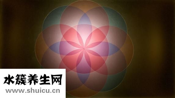 狗大便顏色重怎么了