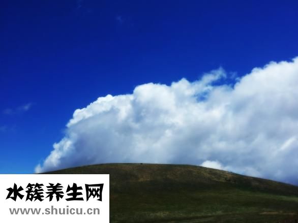 白菜怎么做減肥