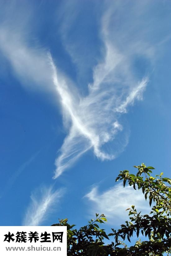 過(guò)濾器怎么放才好