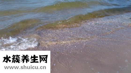 老人濕氣重怎么辦