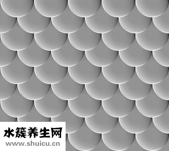 扇貝肉柱怎么洗