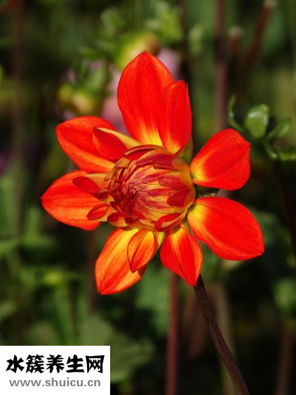 結直腸炎怎么治療