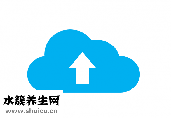 怎么學跳交誼舞