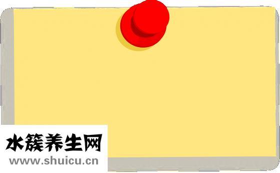 白芍怎么做好吃