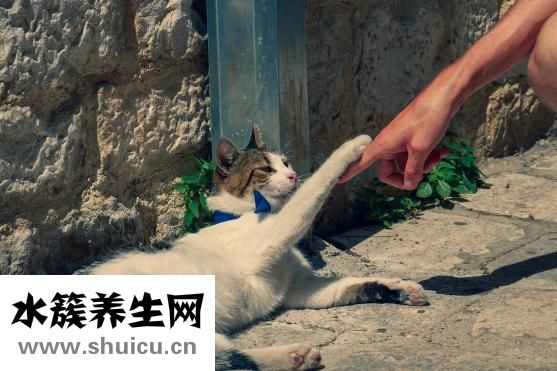 請哺乳假怎么扣獎金