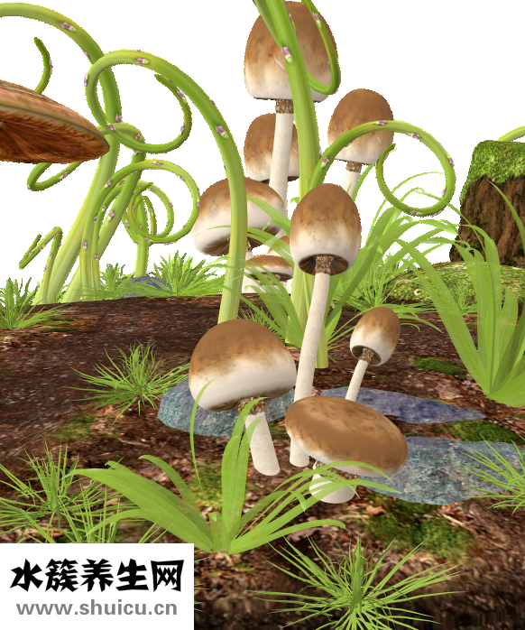 結直腸炎怎么治療