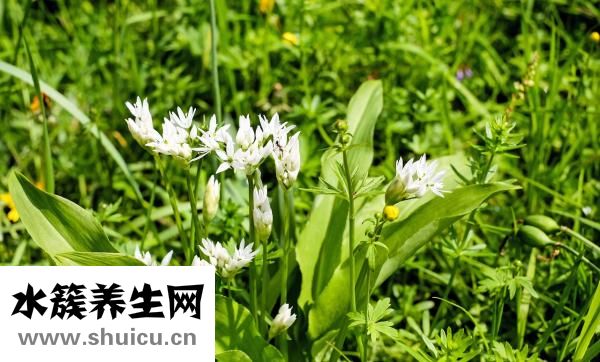 天涯蒜頭鼻怎么變小