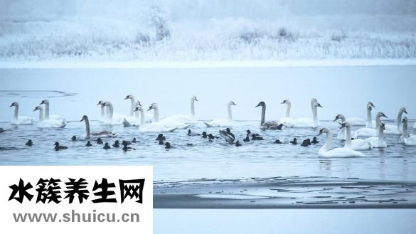 寒氣重的癥狀怎么辦