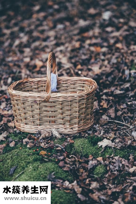 竹籃子長蟲怎么處理