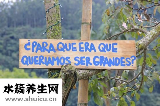 智商太低怎么辦