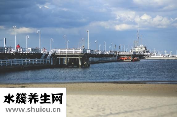 整根鹿茸怎么泡酒