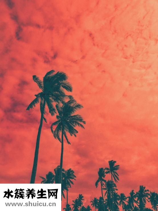 男的頭發怎么變濃密