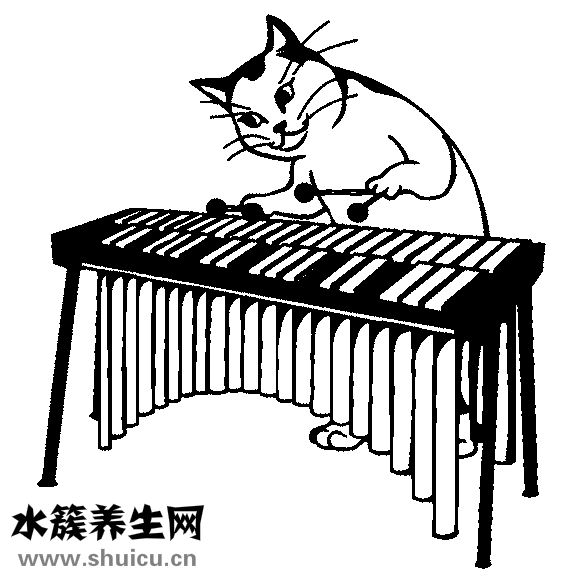 蛇是怎么發聲的