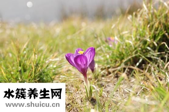 辣椒后燒手怎么辦