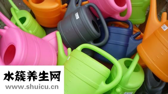 肚子上肉太多怎么辦