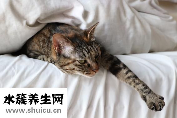 怎么對(duì)老婆