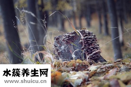 耳朵里有耳釘怎么辦