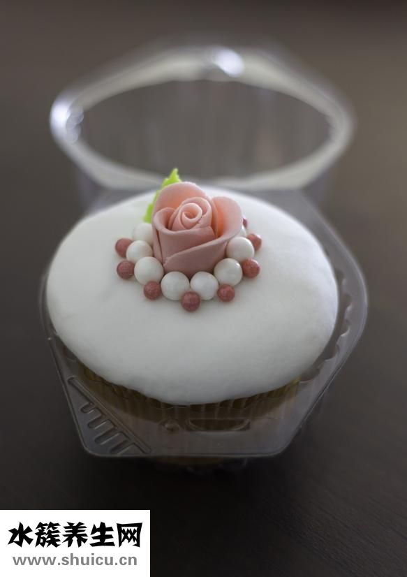 爬地矮珍珠怎么養(yǎng)