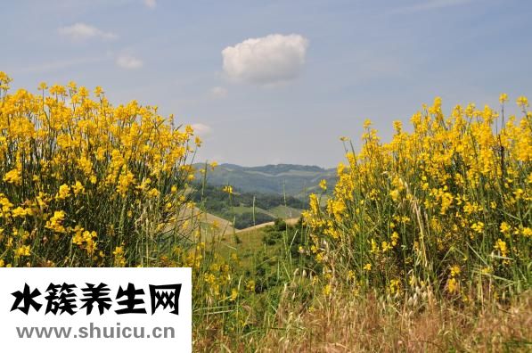 怎么對(duì)老婆