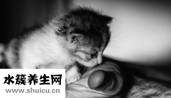 寶寶扭傷筋骨怎么辦