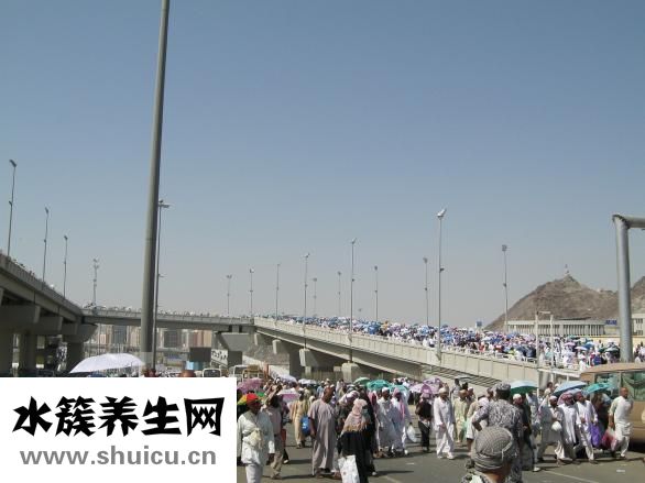 竹炭狗怎么放得穩(wěn)