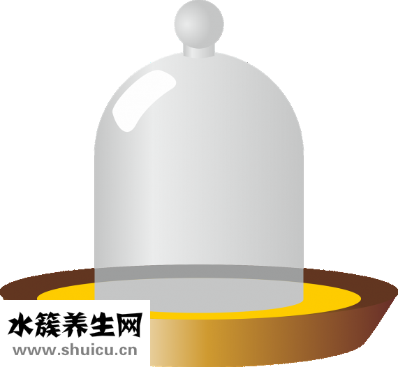 孩子飲食習慣怎么填