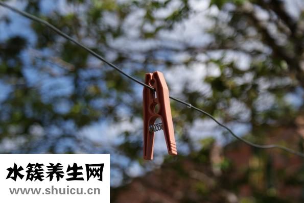 衣服吸灰塵怎么辦