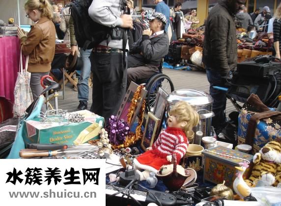 貓吃了跳蚤藥怎么辦