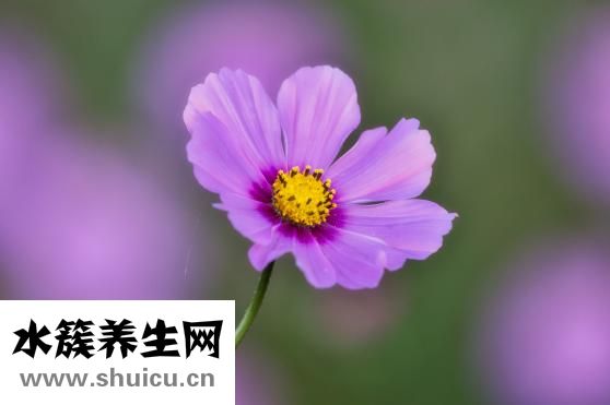 孩子飲食習慣怎么填