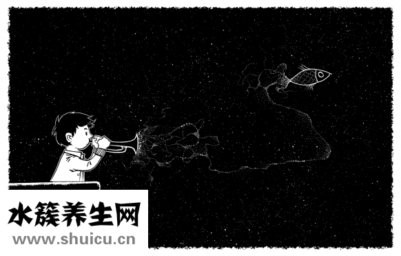 財(cái)神魚(yú)打架怎么辦