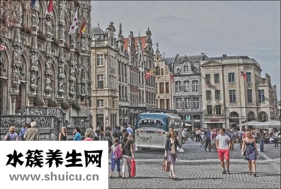 竹炭狗怎么放得穩(wěn)