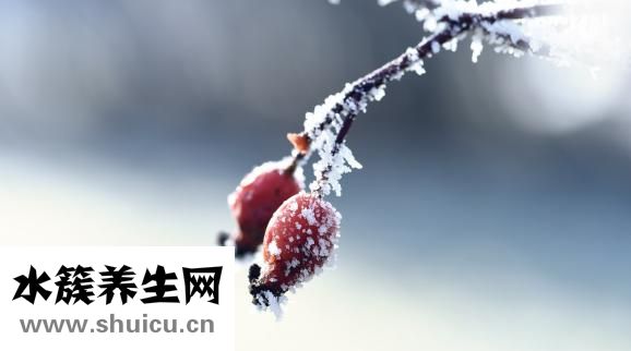 骨節響怎么回事