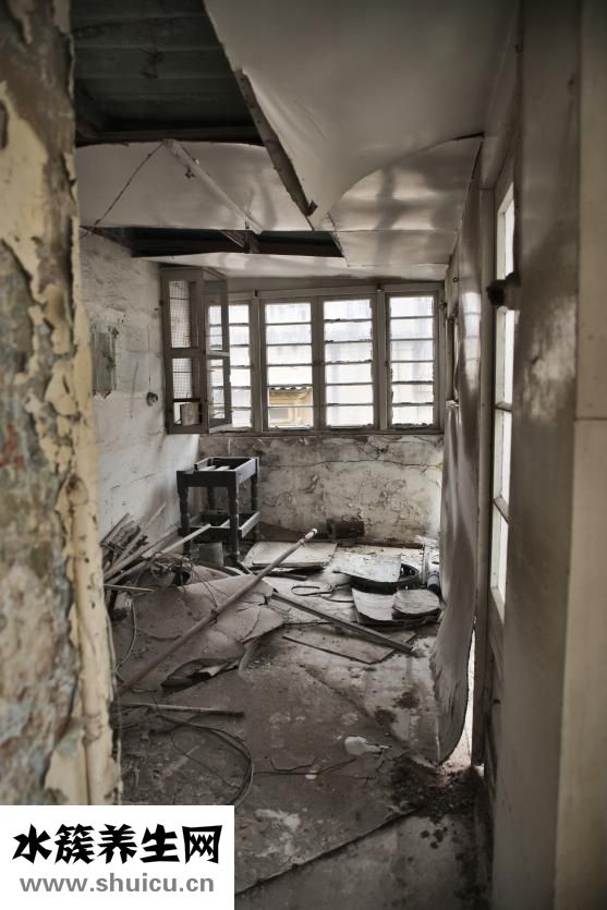 印泥發(fā)霉怎么辦