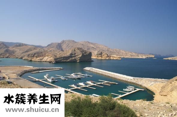 麻辣雞心怎么做