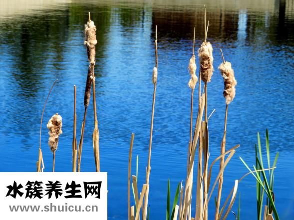 亂環(huán)境時(shí)應(yīng)怎么調(diào)節(jié)