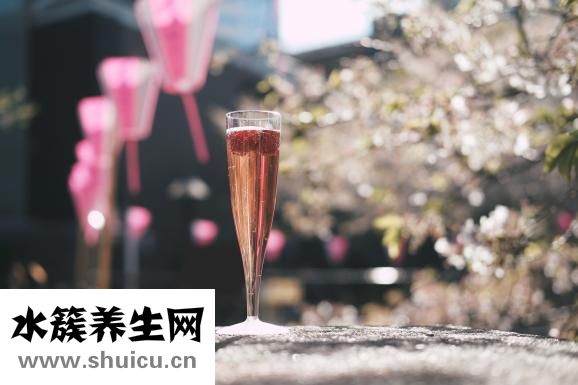 鹿茸太硬怎么切片