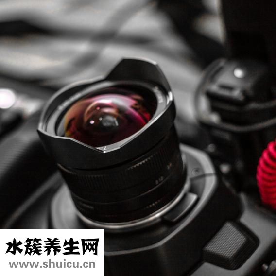 魚肉眼怎么根治