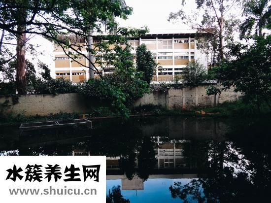 亂環(huán)境時(shí)應(yīng)怎么調(diào)節(jié)